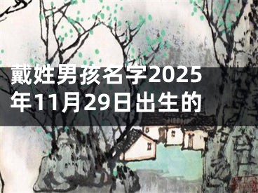 戴姓男孩名字2025年11月29日出生的