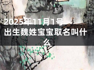 2025年11月1号出生魏姓宝宝取名叫什么