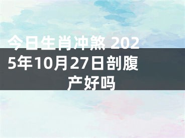 今日生肖冲煞 2025年10月27日剖腹产好吗