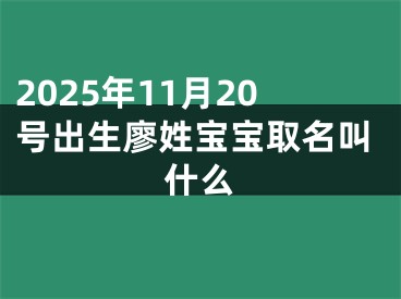 2025年11月20号出生廖姓宝宝取名叫什么