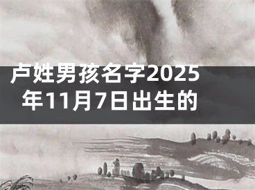 卢姓男孩名字2025年11月7日出生的