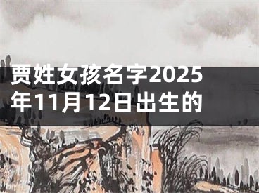 贾姓女孩名字2025年11月12日出生的