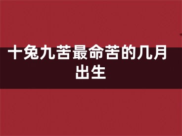 十兔九苦最命苦的几月出生