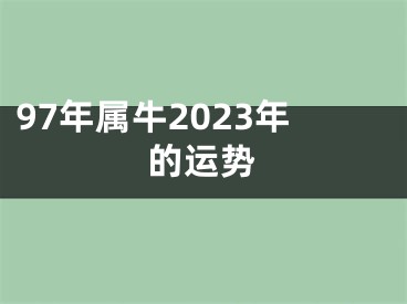 97年属牛2023年的运势