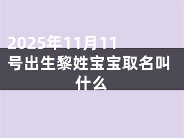 2025年11月11号出生黎姓宝宝取名叫什么