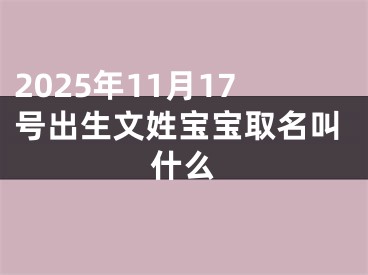 2025年11月17号出生文姓宝宝取名叫什么
