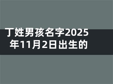 丁姓男孩名字2025年11月2日出生的