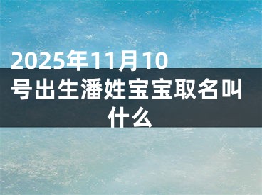 2025年11月10号出生潘姓宝宝取名叫什么