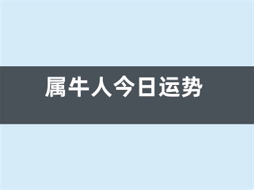 属牛人今日运势