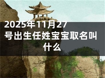 2025年11月27号出生任姓宝宝取名叫什么