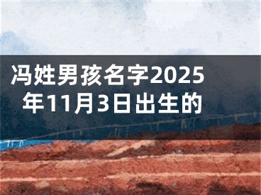 冯姓男孩名字2025年11月3日出生的