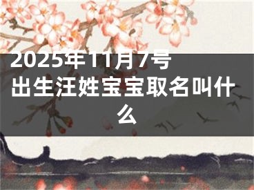 2025年11月7号出生汪姓宝宝取名叫什么