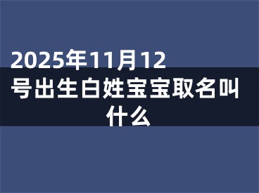 2025年11月12号出生白姓宝宝取名叫什么