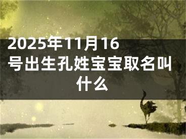 2025年11月16号出生孔姓宝宝取名叫什么
