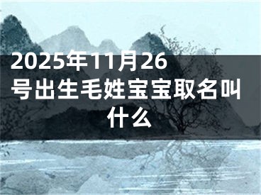 2025年11月26号出生毛姓宝宝取名叫什么