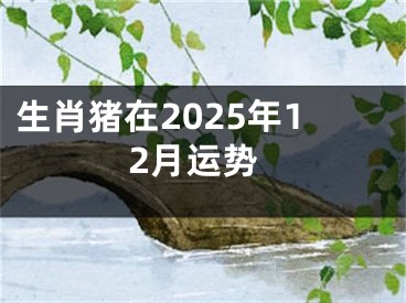 生肖猪在2025年12月运势
