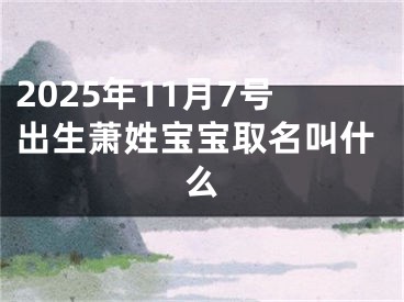 2025年11月7号出生萧姓宝宝取名叫什么