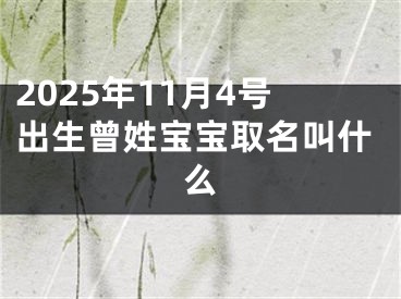 2025年11月4号出生曾姓宝宝取名叫什么