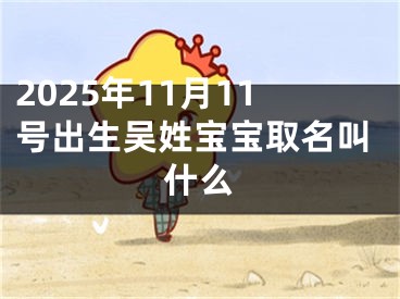 2025年11月11号出生吴姓宝宝取名叫什么