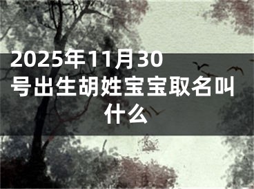 2025年11月30号出生胡姓宝宝取名叫什么