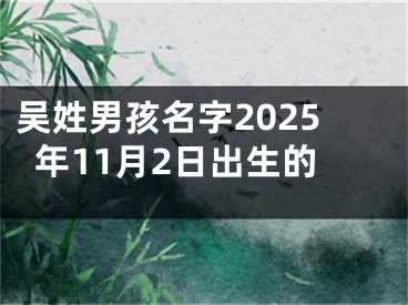 吴姓男孩名字2025年11月2日出生的