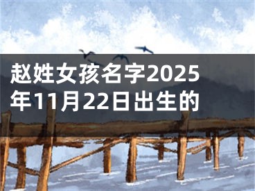 赵姓女孩名字2025年11月22日出生的