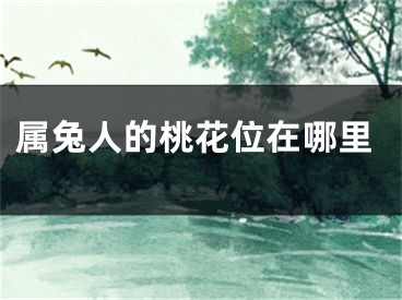 属兔人的桃花位在哪里