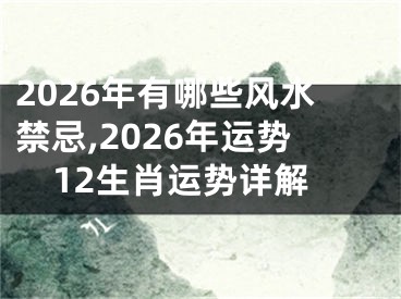 2026年有哪些风水禁忌,2026年运势12生肖运势详解