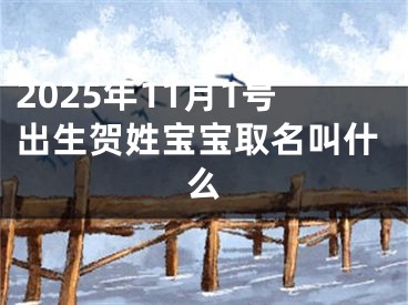 2025年11月1号出生贺姓宝宝取名叫什么