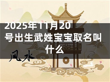 2025年11月20号出生武姓宝宝取名叫什么