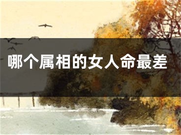 哪个属相的女人命最差