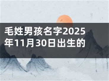 毛姓男孩名字2025年11月30日出生的