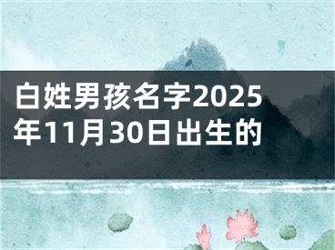 白姓男孩名字2025年11月30日出生的