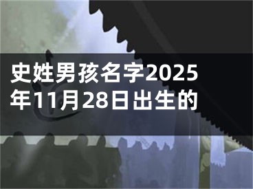 史姓男孩名字2025年11月28日出生的