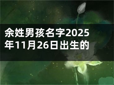 余姓男孩名字2025年11月26日出生的