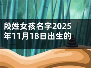 段姓女孩名字2025年11月18日出生的