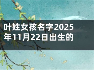 叶姓女孩名字2025年11月22日出生的