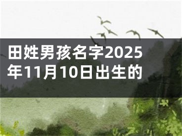 田姓男孩名字2025年11月10日出生的