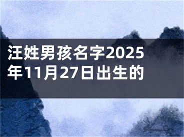 汪姓男孩名字2025年11月27日出生的