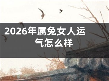 2026年属兔女人运气怎么样