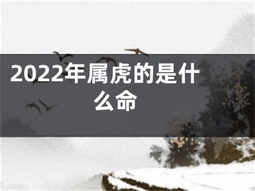2022年属虎的是什么命 