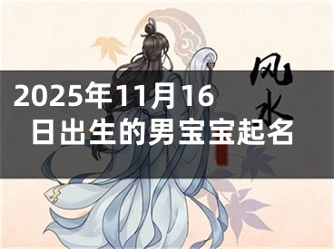2025年11月16日出生的男宝宝起名