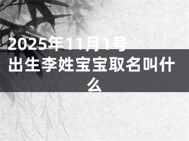 2025年11月1号出生李姓宝宝取名叫什么
