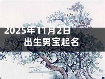 2025年11月2日出生男宝起名