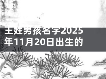 王姓男孩名字2025年11月20日出生的