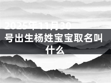 2025年11月30号出生杨姓宝宝取名叫什么