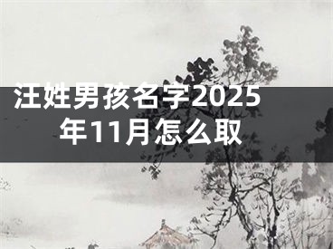 汪姓男孩名字2025年11月怎么取
