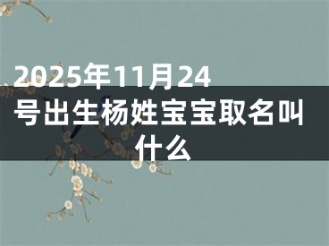 2025年11月24号出生杨姓宝宝取名叫什么