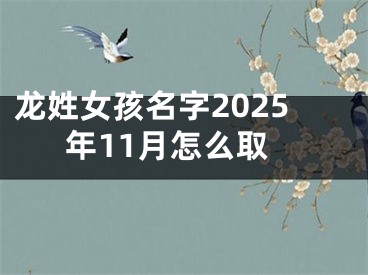 龙姓女孩名字2025年11月怎么取