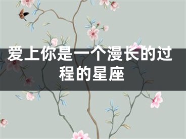 爱上你是一个漫长的过程的星座